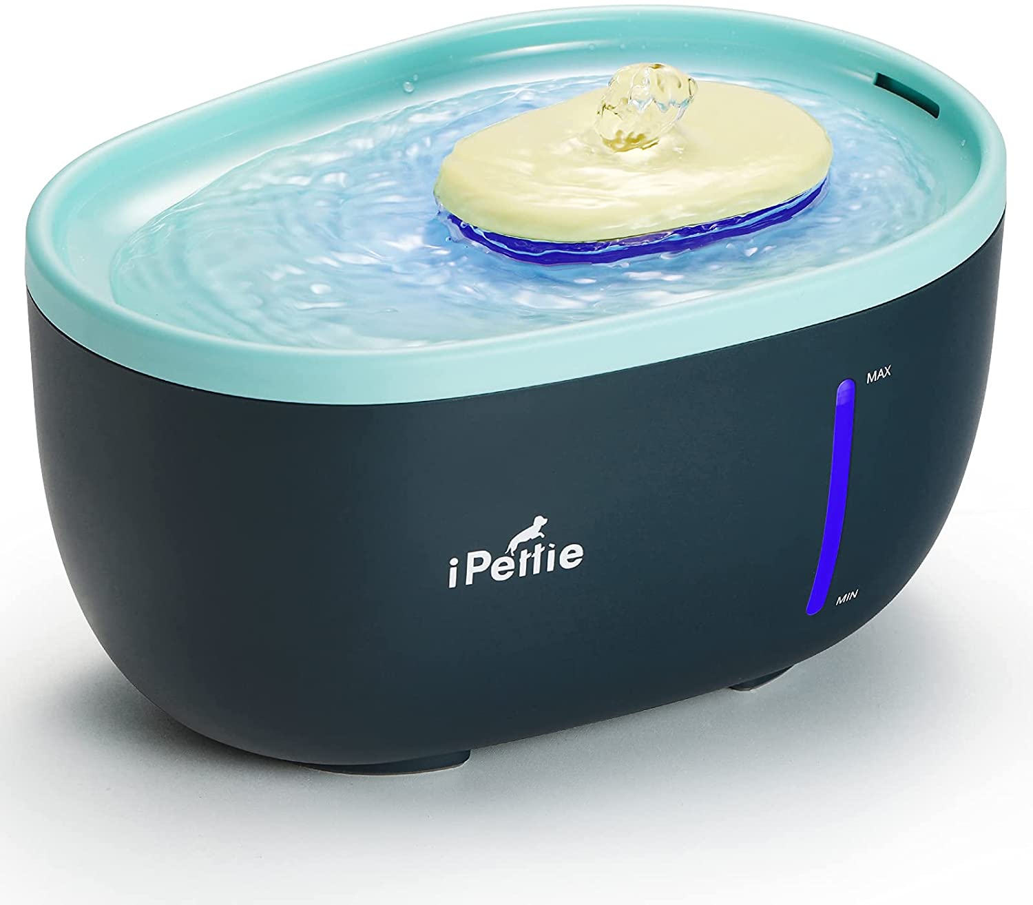 Avocado 2L Pet Water Fountain