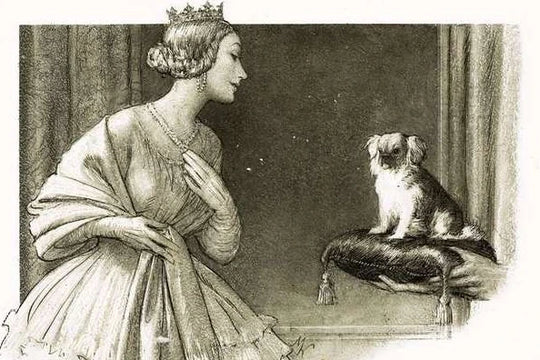 Famous People in History and Their Bizarre Pets