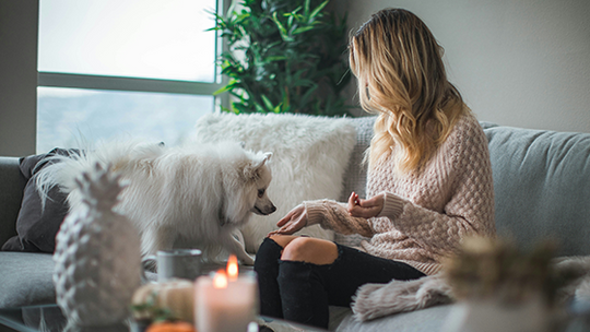 Hidden Dangers at Home: Foods and Plants That Could Poison Your Pet