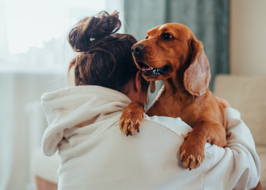 The Best Mother's Day Gifts for All Pet Moms