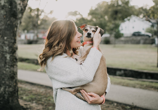 Is your family pet bad for the environment? It depends.