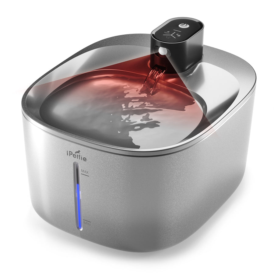 iPettie Runway Wireless Cat Water Fountain - Stainless Steel, 5-Stage Filtration, Ultra Quiet