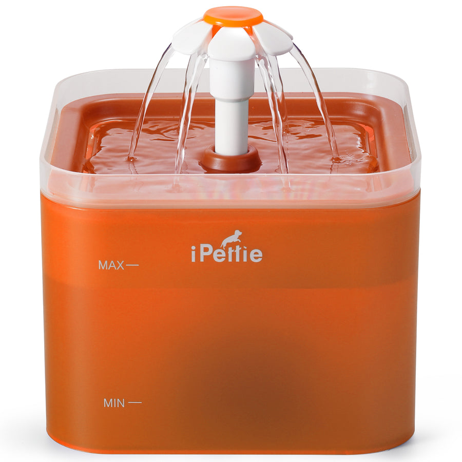 Neverland 2L Cat Water Fountain