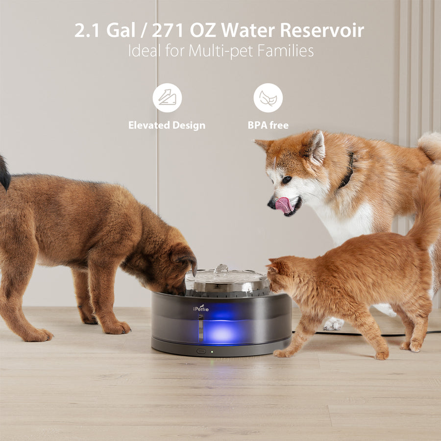 8L Dog Water Fountain