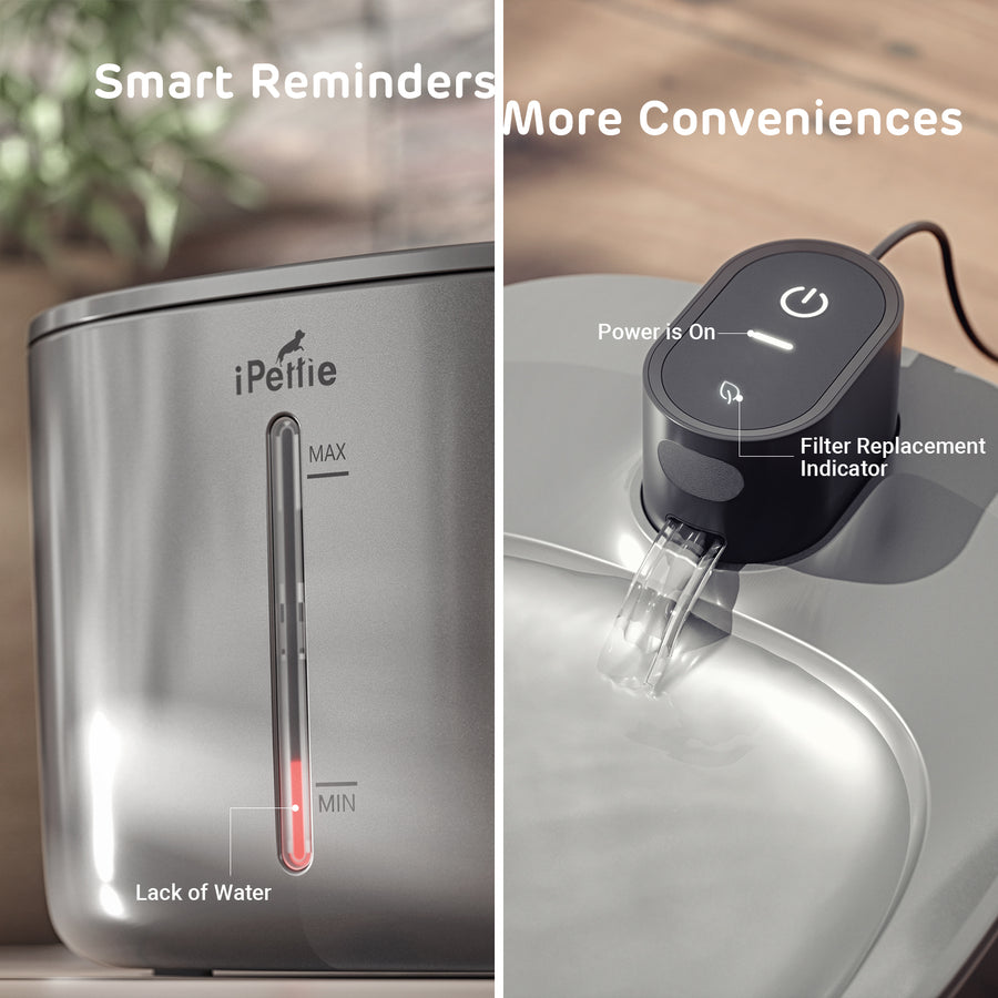 Runway Stainless Steel Cat Water Fountain, Corded