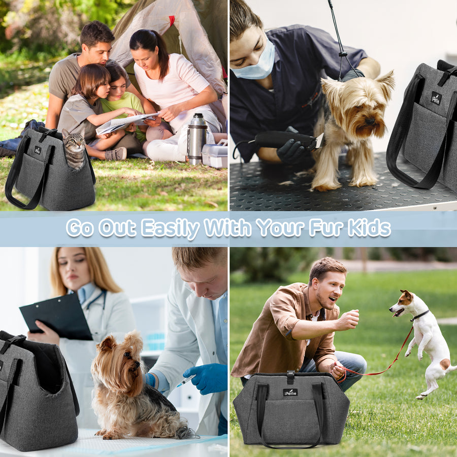 Heated Pet Carrier with Removable Heating Pad