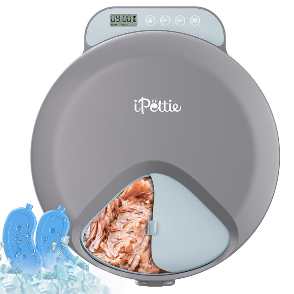 Zharko Four Meals Automatic Wet Feeder, Grey & Blue – iPettie