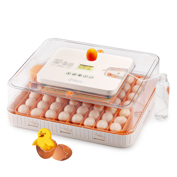 iPettie 56-Egg Incubator with Automatic Turning, Temperature