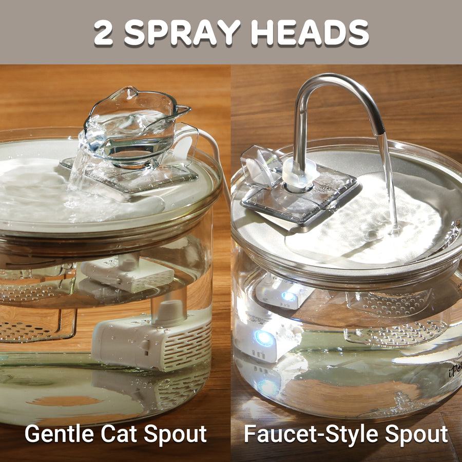 iPettie Glass Cat Water Fountain, 68oz/2L Pet Drinking Fountain