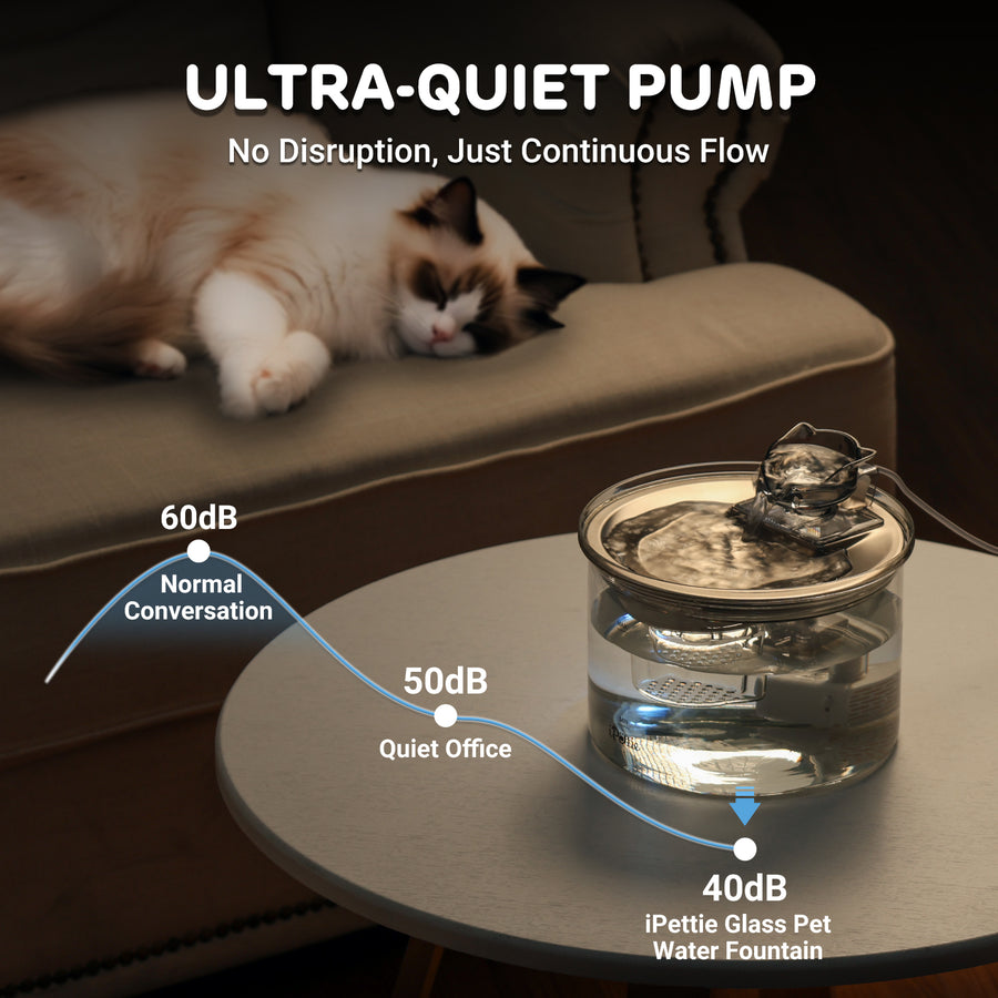 AquaGlow Glass Pet Water Fountain, 2L