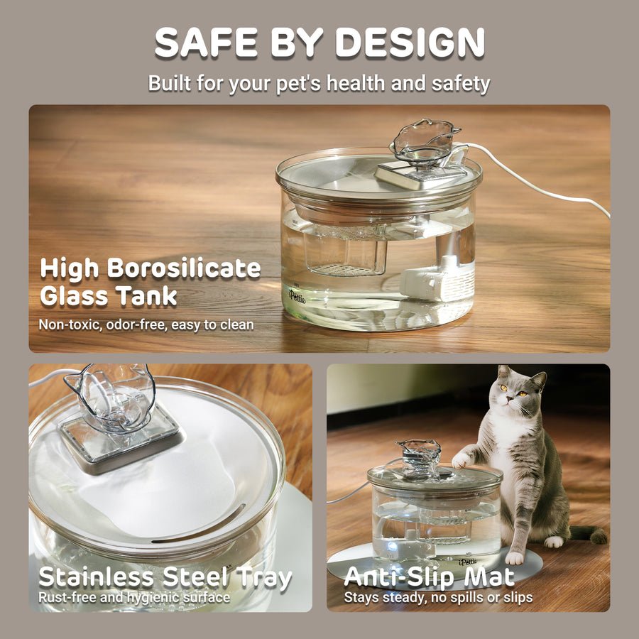 Pet water dispenser with high borosilicate glass tank, stainless steel tray, and anti-slip mat on a wooden surface.