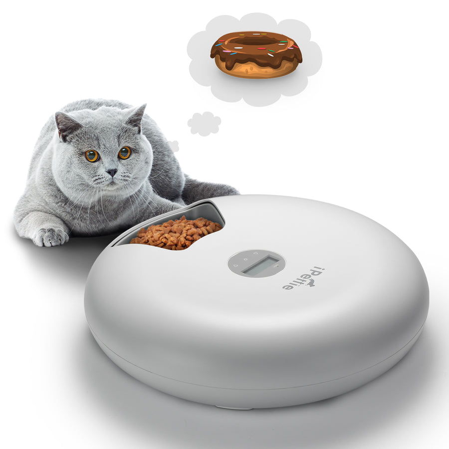 Donut 6-meal Automatic Pet Feeder