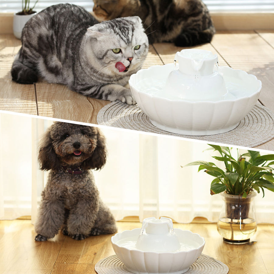 iPettie Tritone Ceramic Dog Cat Fountain Quiet
