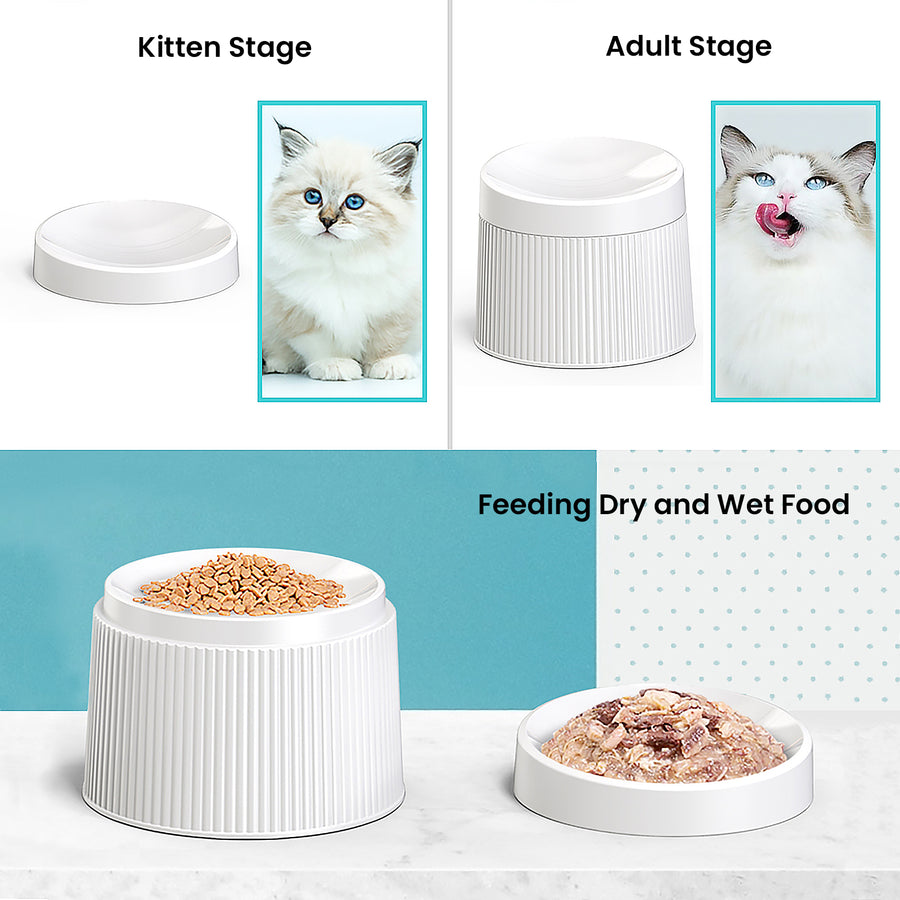 Elevated and Tilted Cat Food Bowl – iPettie