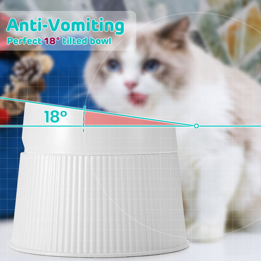angled cat food bowls Elevated and Tilted Cat Food Bowl – iPettie