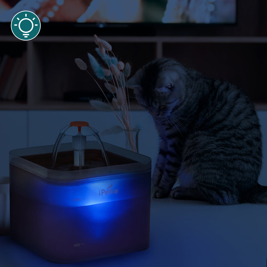 Neverland Cat Water Fountain