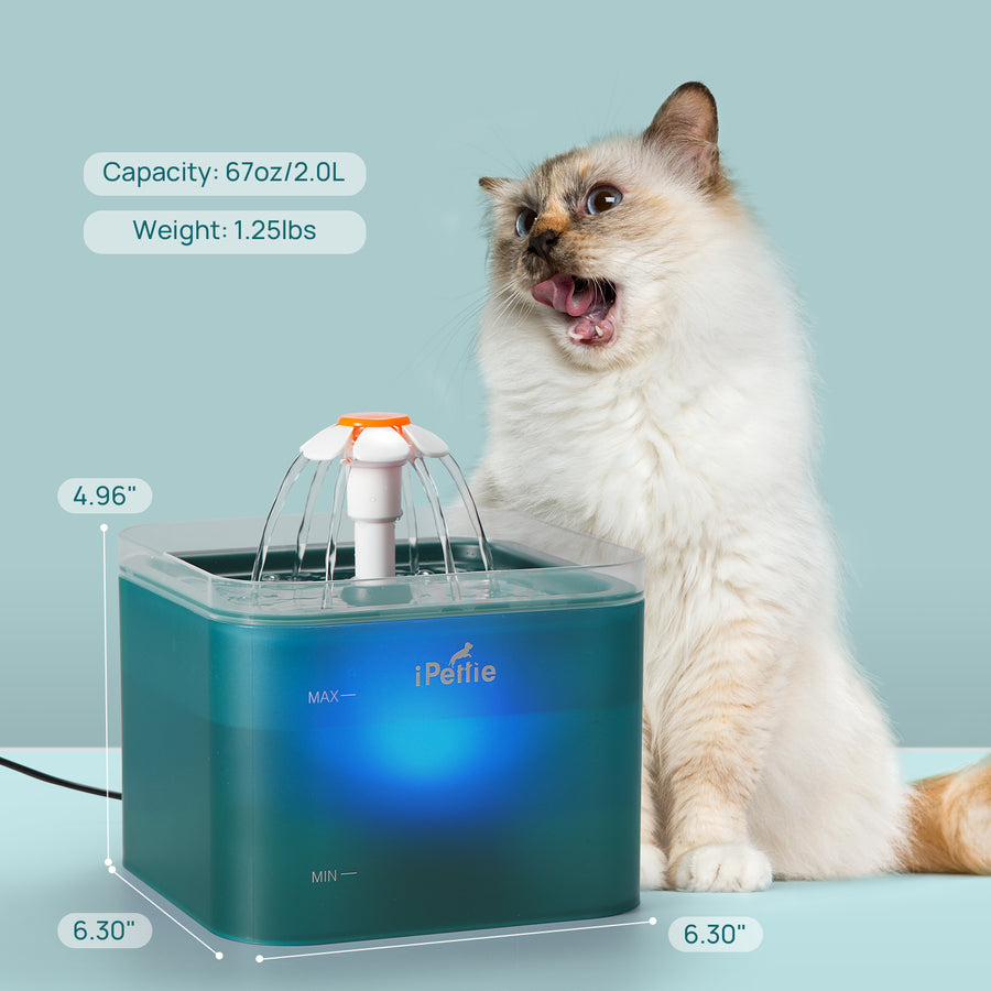 Neverland Cat Water Fountain