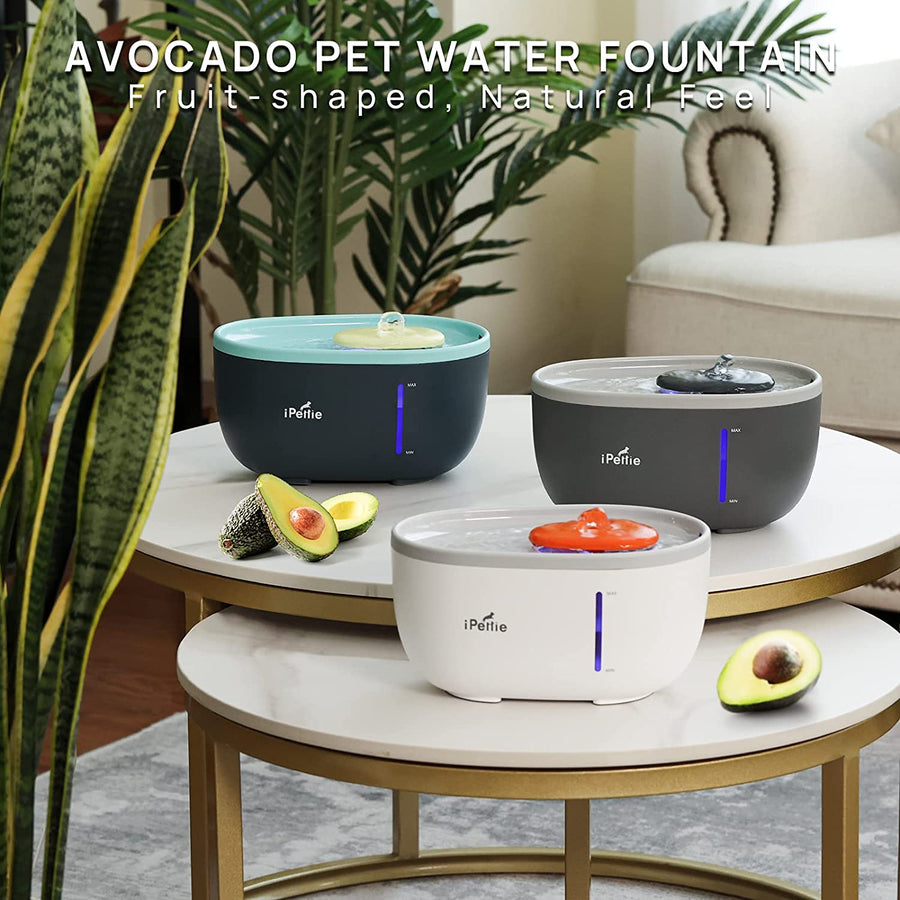 Avocado Pet Water Fountain