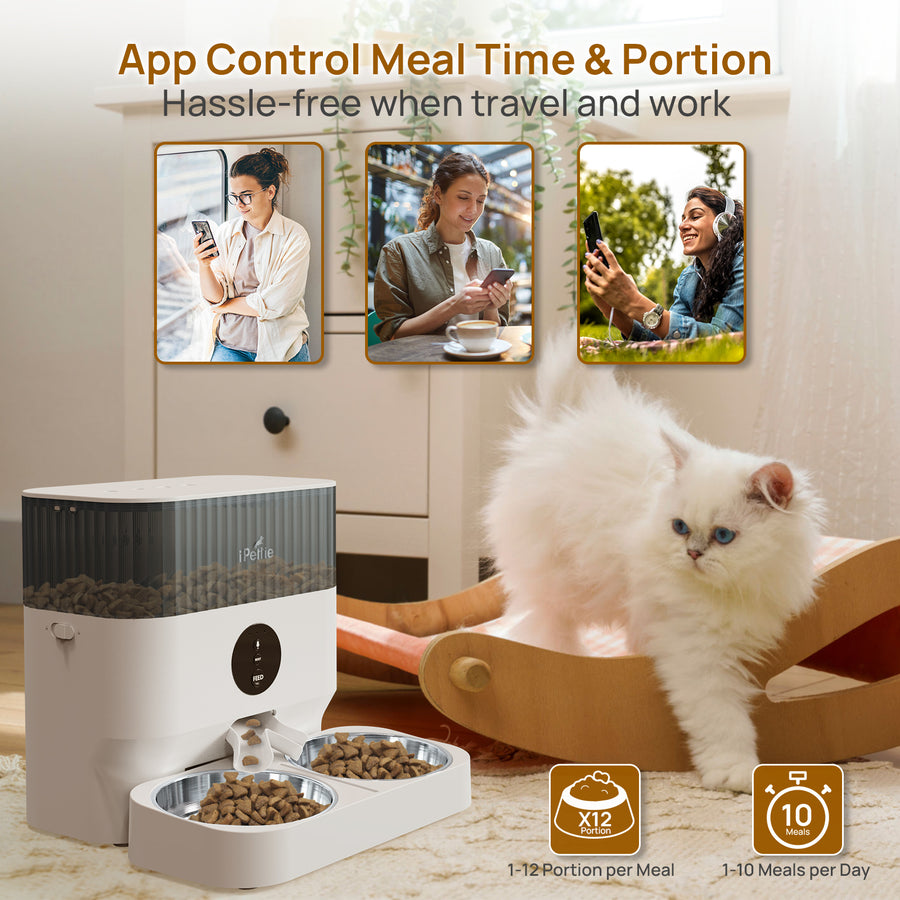 Does this Automatic Pet Feeder Really Work? 