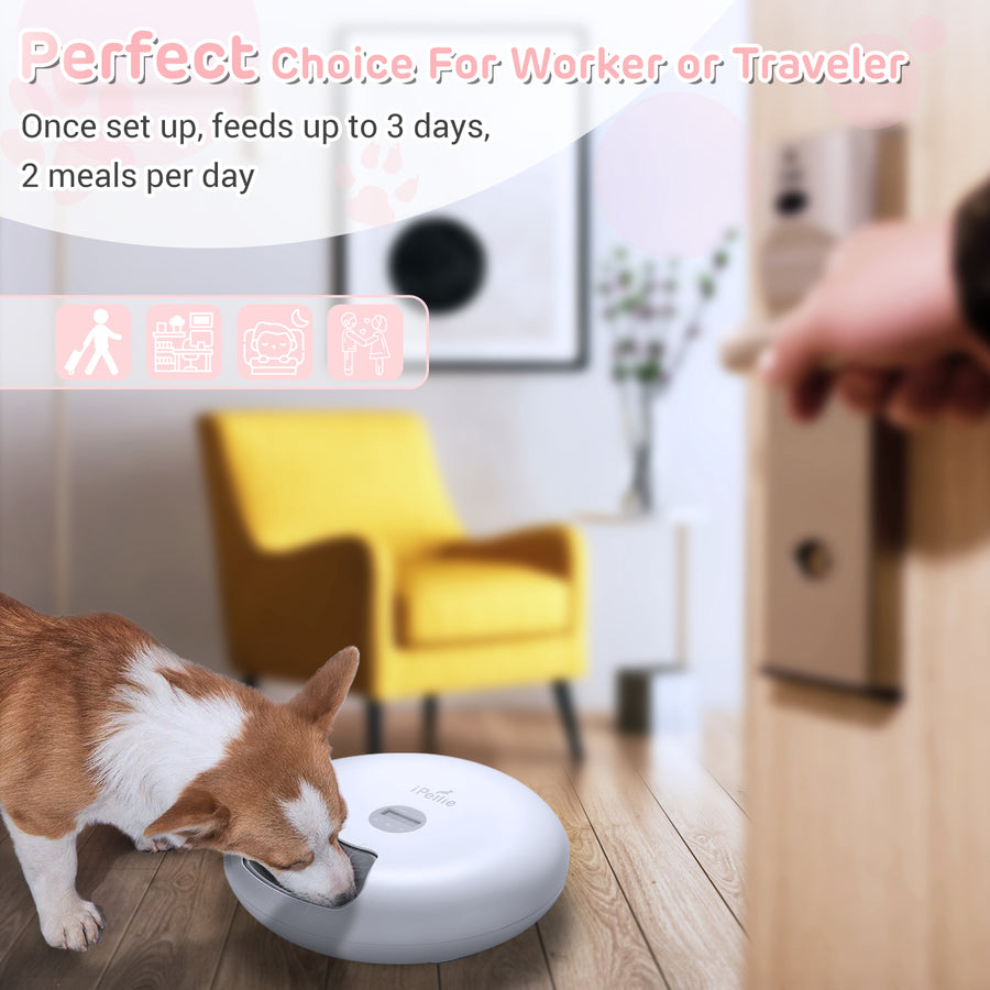 Donut 6-meal Automatic Pet Feeder