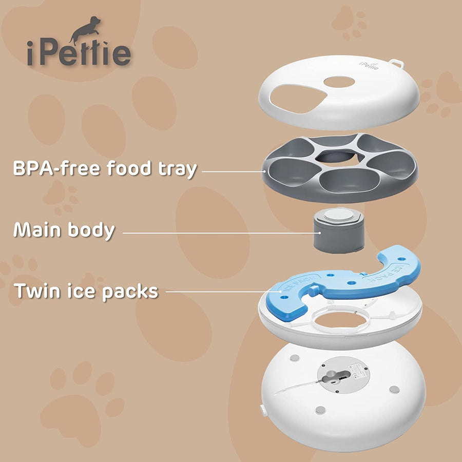 Donuts Frost 6 Meal Cordless Automatic Pet Feeder