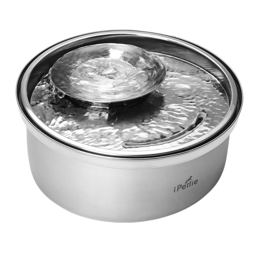 Stainless steel cat clearance water bowl